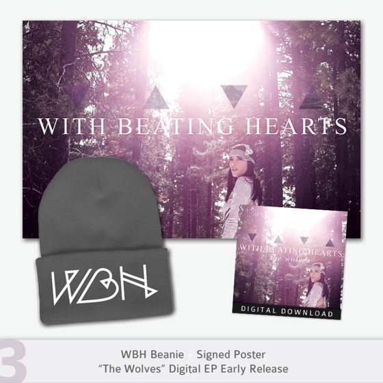 Image of Digital Download + Poster + Beanie ON SALE