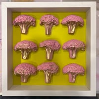Minowa is a mad woman  9 Broccolis