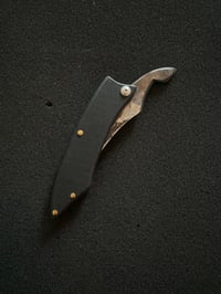 Image 2 of Persian M
