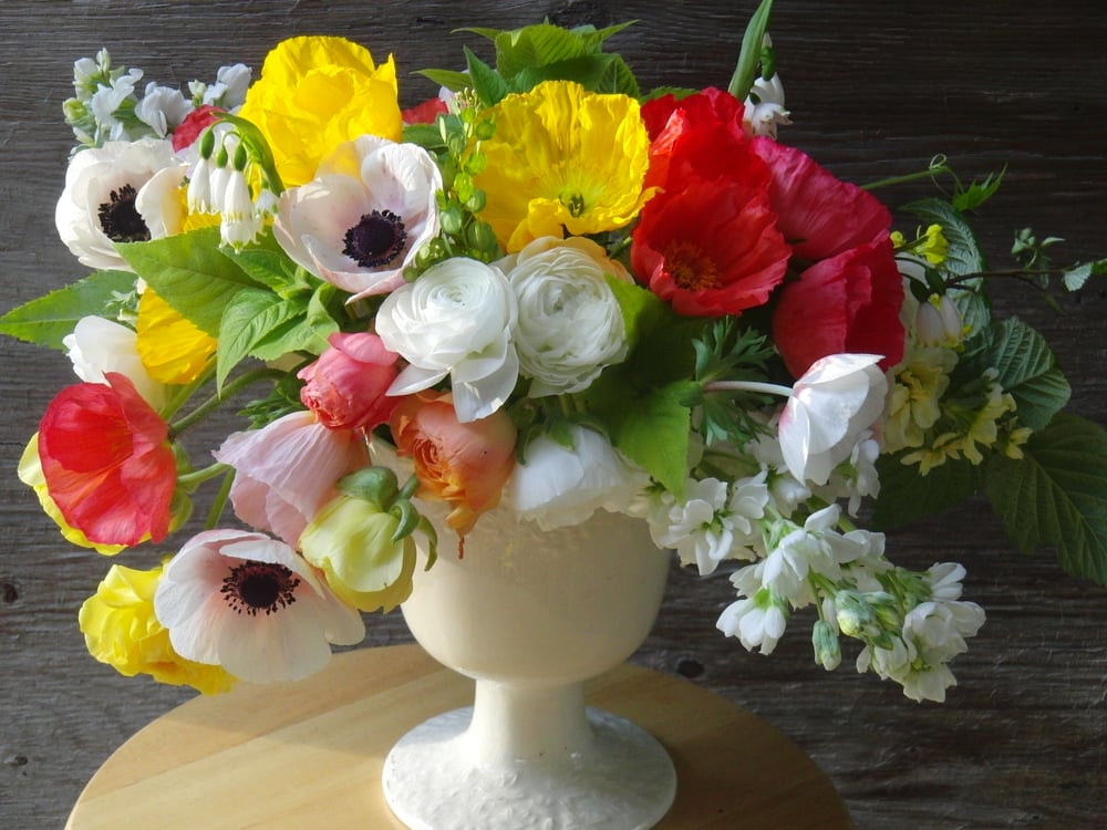 Image of Bouquet Subscription, half season ( 6 weeks)