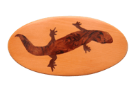 Image 1 of inlaid lizard hair clip