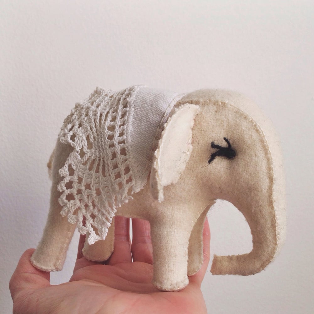 Image of little white elephant