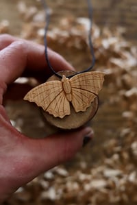 Image 2 of Tortoiseshell Butterfly 