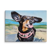 Image 1 of Dachshund in the wind