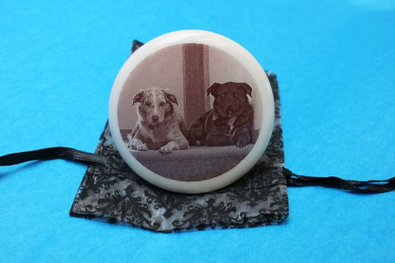 Image of Custom Pet Wine Stopper