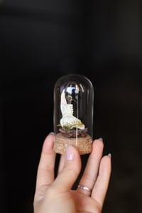 Image 2 of Campana con mandibola di coniglio selvatico