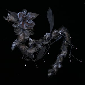 Image of V 45 Lady Grey