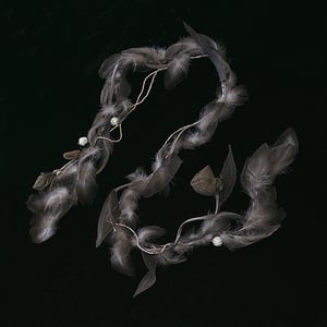 Image of V39 Fawn Beauty