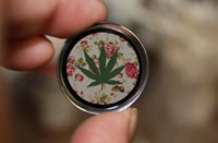 Image 2 of Weed Leaf Plugs