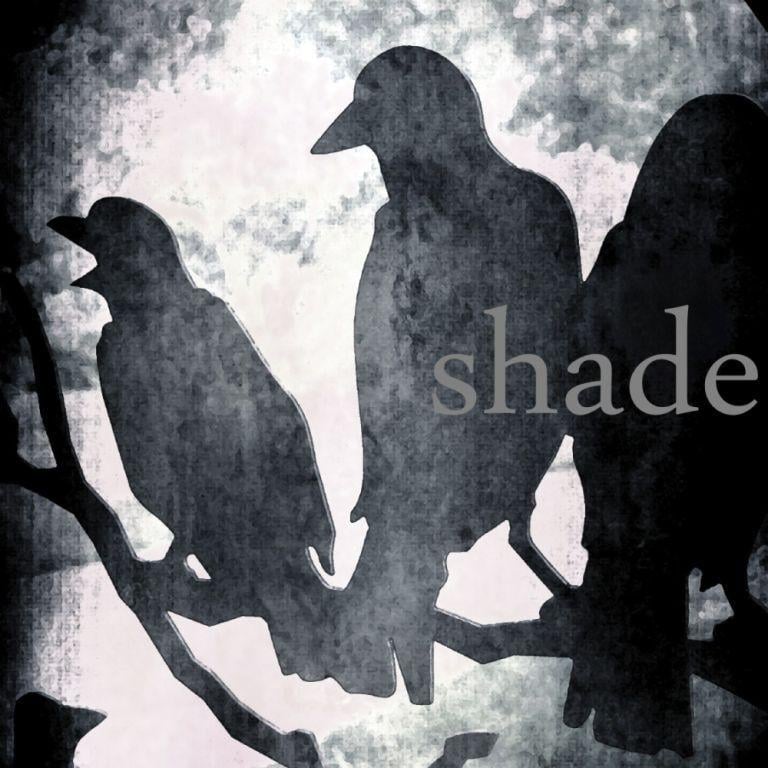 Image of Shade Blend