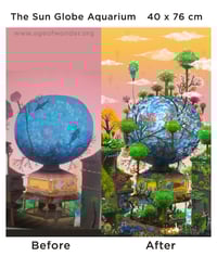 Image 4 of The Sun Globe Aquarium