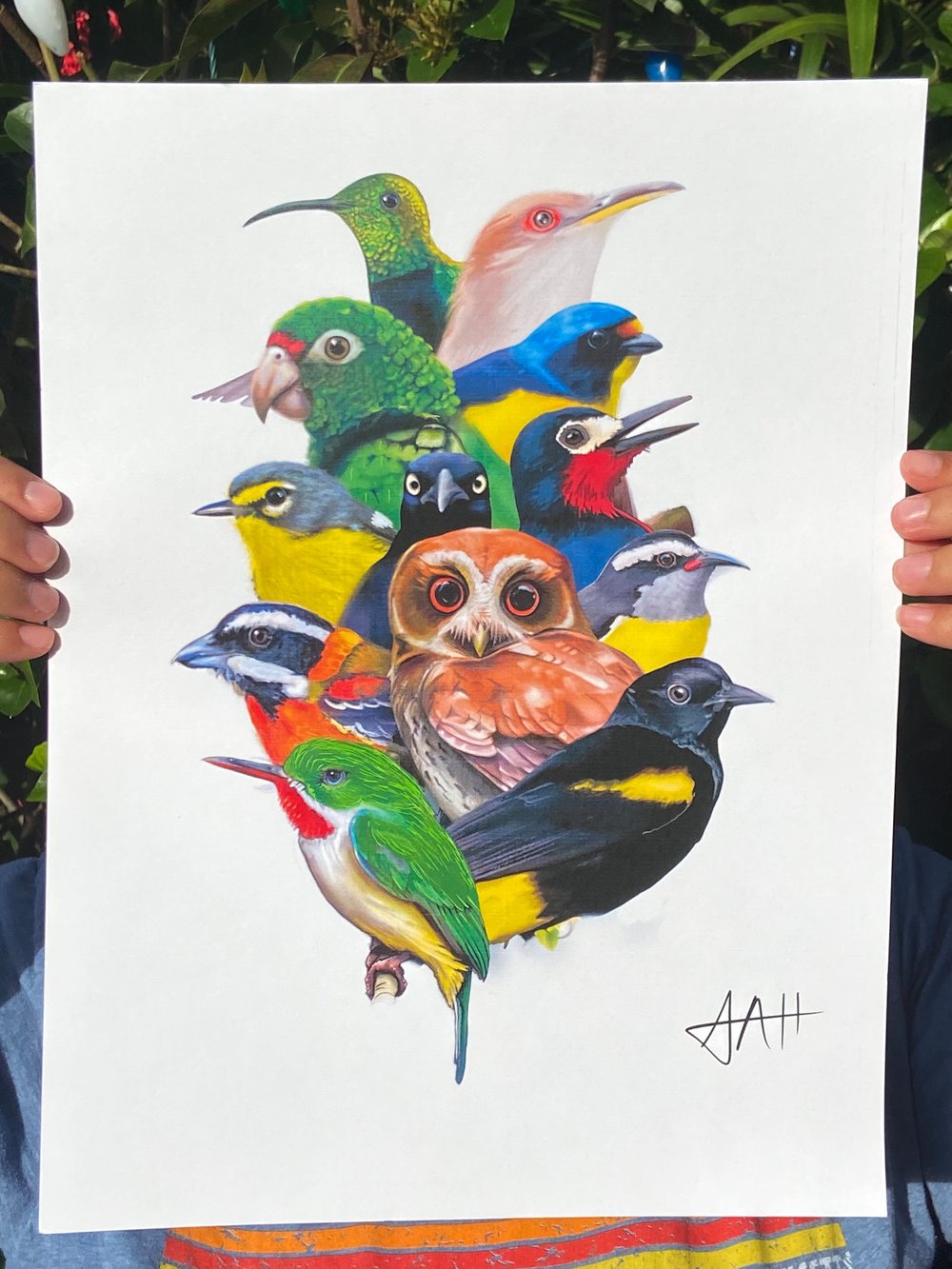 Aves de Puerto Rico • Art Print 