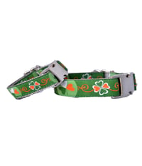 Image 1 of Shamrock -  Dog Collar