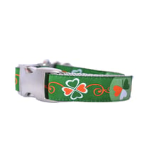 Image 2 of Shamrock -  Dog Collar