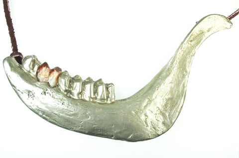 Image of Deer Jaw with Amethyst