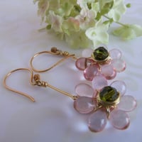 Image 2 of Whisper Pink Daisies