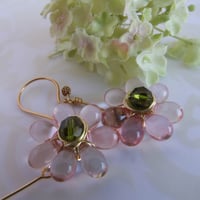 Image 3 of Whisper Pink Daisies