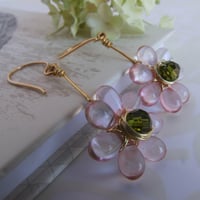 Image 4 of Whisper Pink Daisies