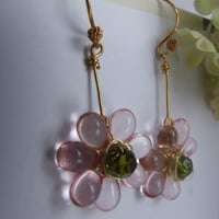 Image 5 of Whisper Pink Daisies