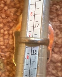 Image 3 of RESERVED Inlay water-bird ring 