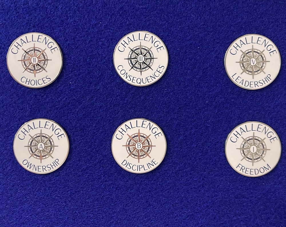 Full Set Challenge Pins | Talia Scott