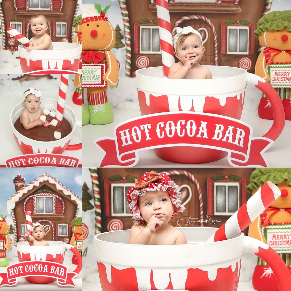 Image of Hot Cocoa Mug Christmas Session $225