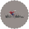 Spiderman Boys Wall Decal Themed Room Spider Man