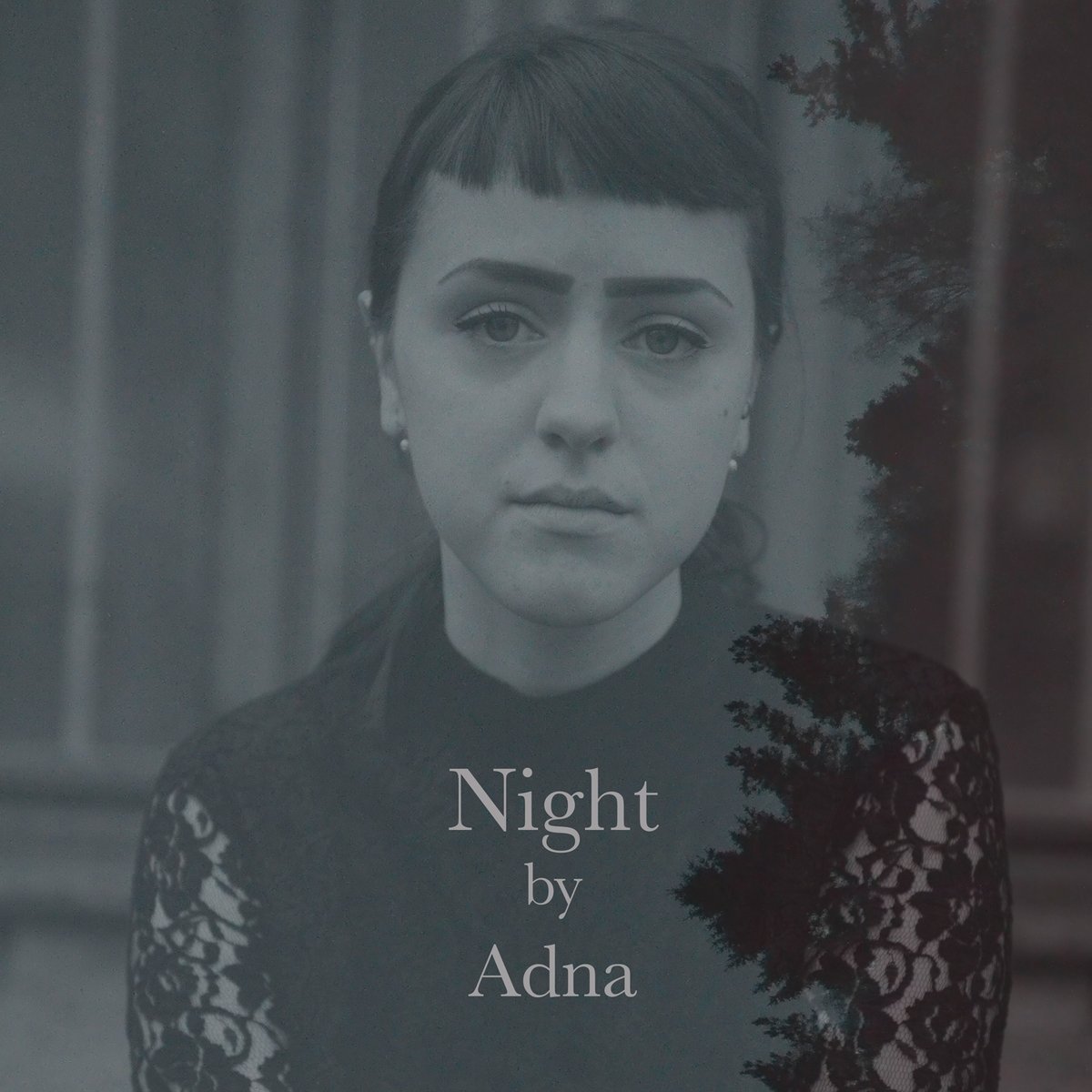 Adna - Night (CD) / Despotz Records