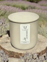 Image 2 of Lush Lavender