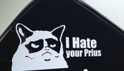 Image of I hate your prius , cat
