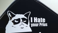 I hate your prius , cat
