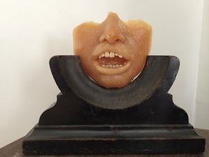 Image of vintage wax moulage on plinth