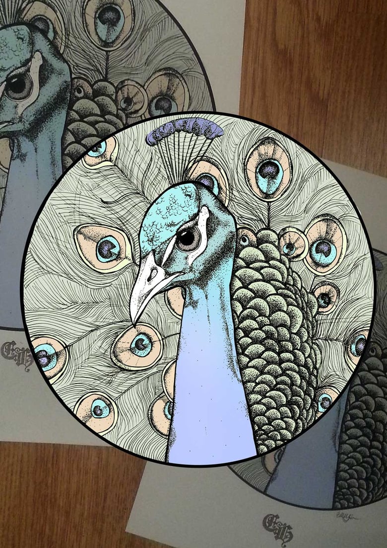 Image of 'Peacock' Print