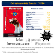 Image of Alta Energía