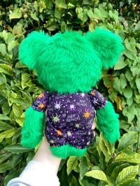 Image 2 of Frankie Bear