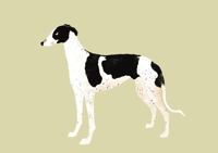 Custom Digital Pet Portrait