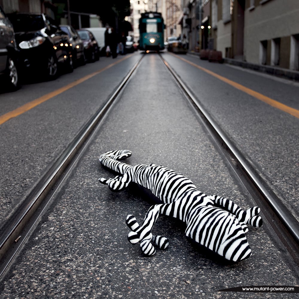 Image of Invisible