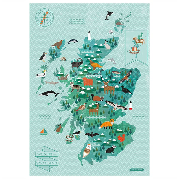 Image of A2 Wildlife of Scotland Map