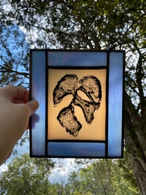 Image of rhaphidophora tetrasperma leaf print 
