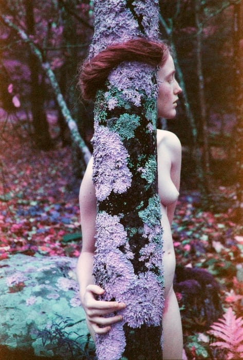 Image of Limited Edition Print by Amanda Charchian