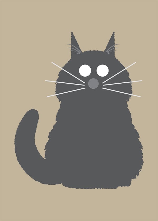 Fluffy Cat Collection