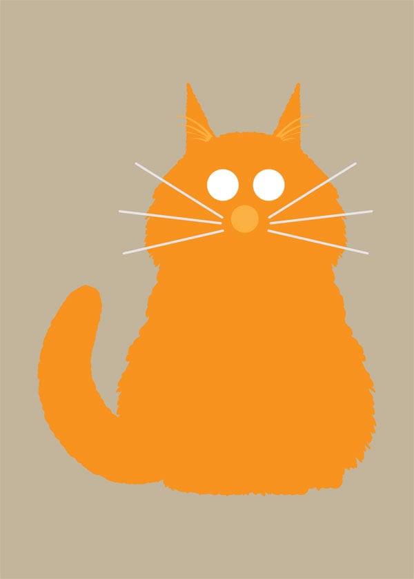 Fluffy Cat Collection
