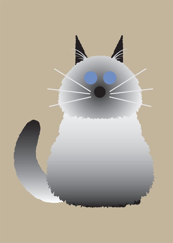Fluffy Cat Collection