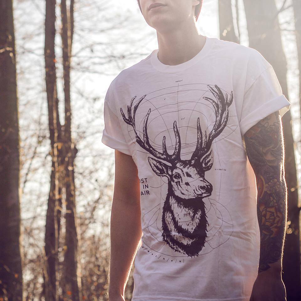 Image of LID Deer