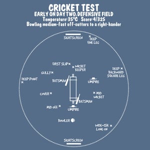 Image of Cricket Test