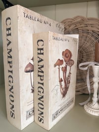 Image 1 of Wooden Book Storage ( 2 sizes )