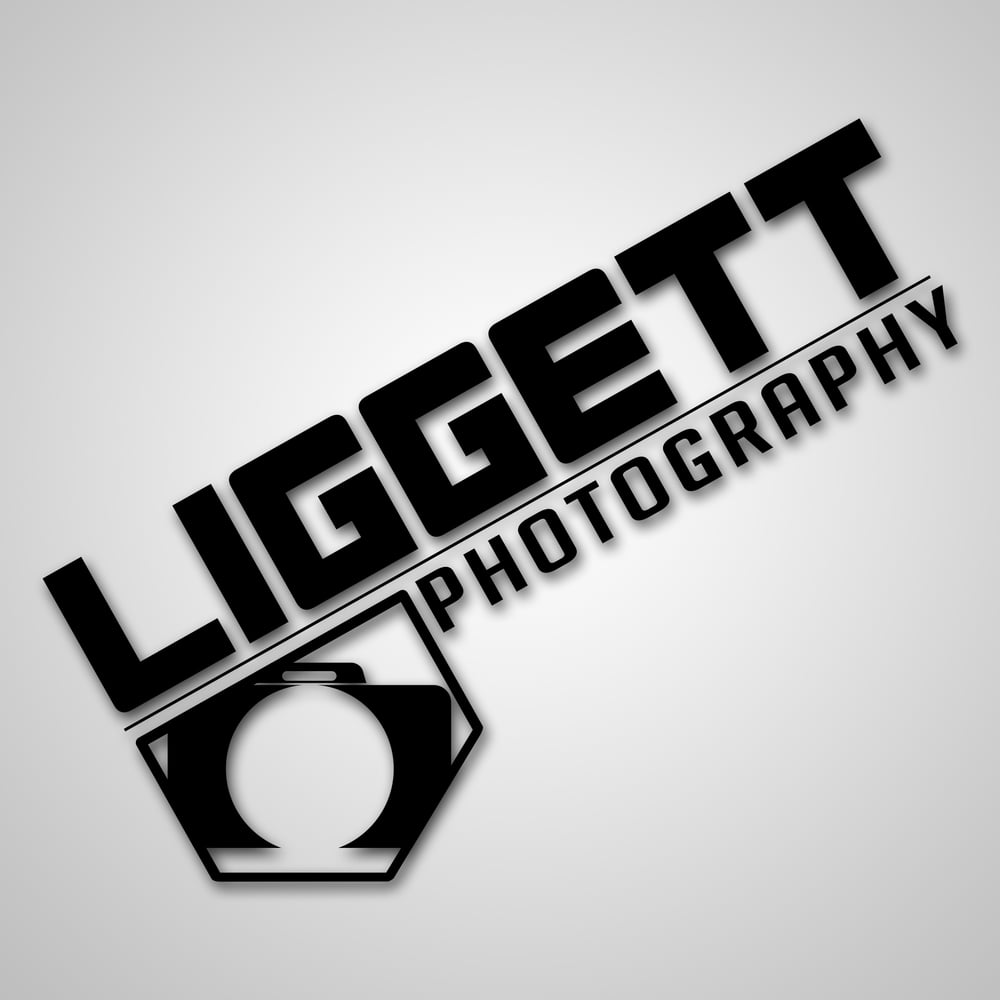 Image of Premade Logo