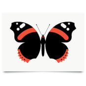 Image of Red Admiral print