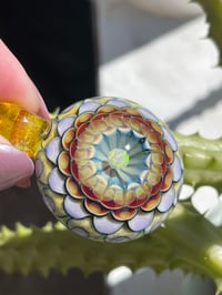 Image 1 of Sunburst Dahlia