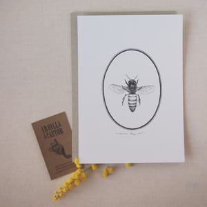 Image of BEE PRINT